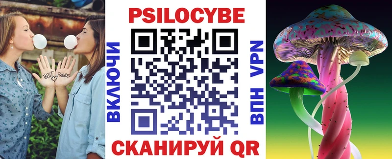 Галлюциногенные грибы Psilocybine cubensis  гидра ССЫЛКА  Новокузнецк  наркота 